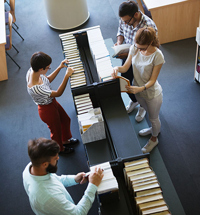 belbusdelicias equipo profesional