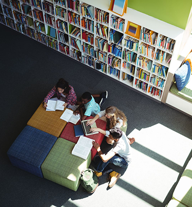 belbusdelicias equipo profesional